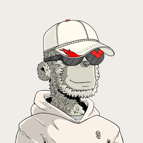 y00t #3786