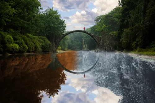Reflection #119