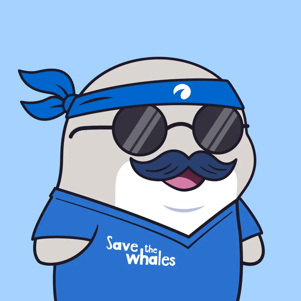 Oh Whale Originals #306