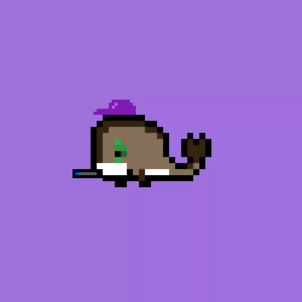 WeirdWhales2966 #2966