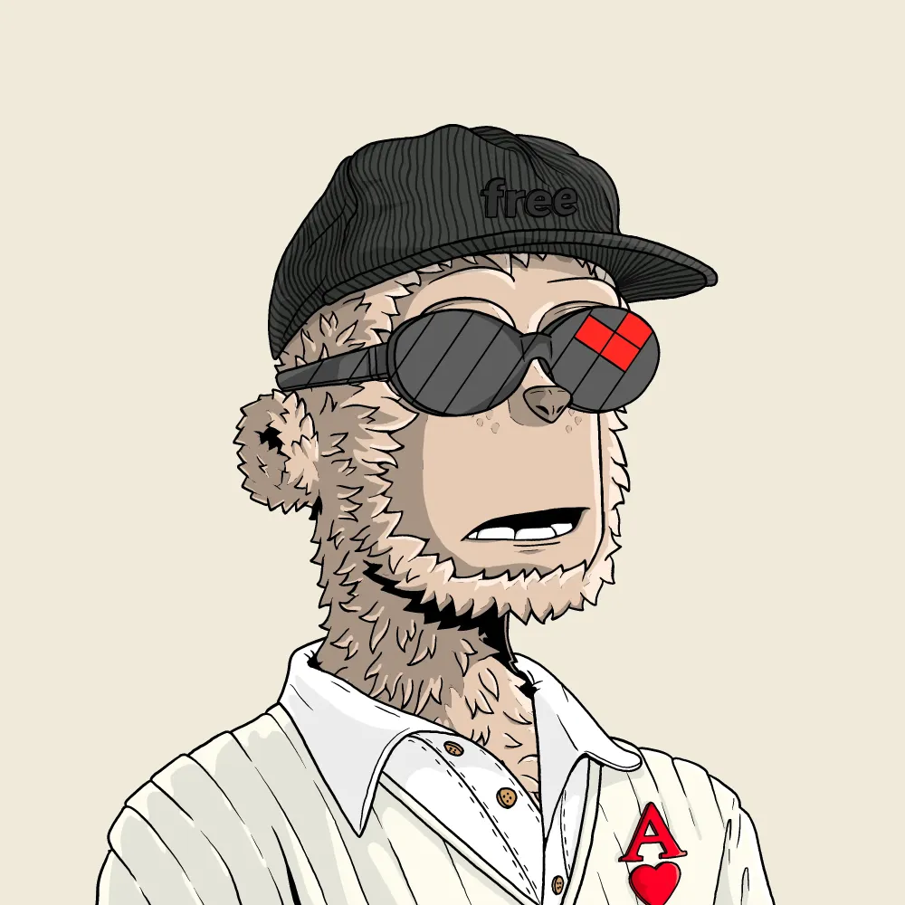 y00t #14241