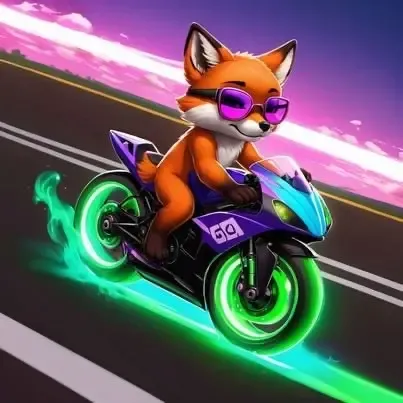 BABYFOX MOTO #10