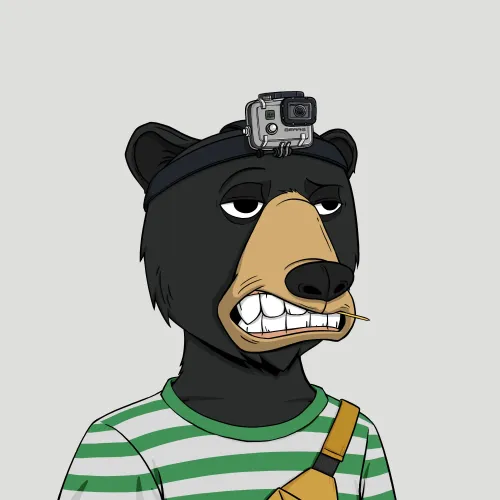 Okay Bear #179