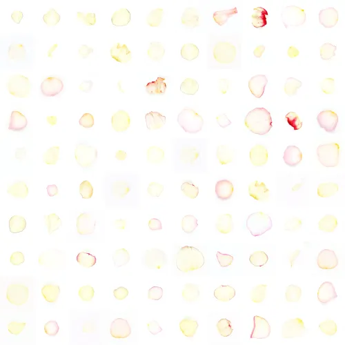 Infinite Petals 10x10#900012