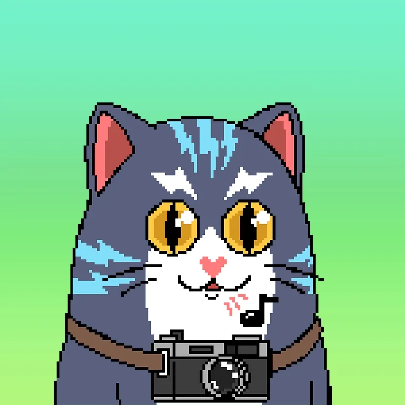 Liberty Cats