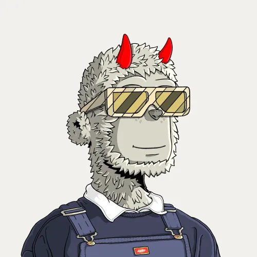y00t #2493
