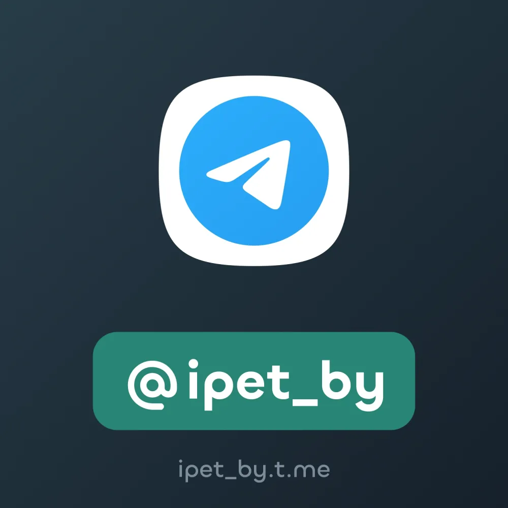 @ipet_by