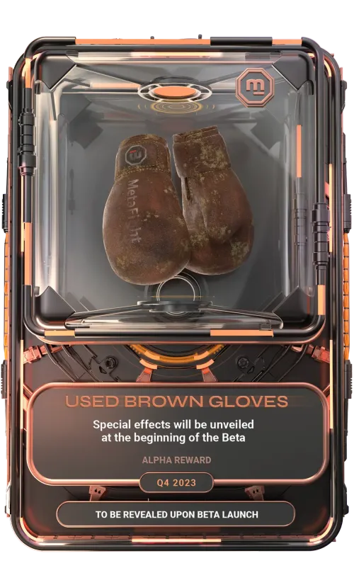 Equipment Card - Training Gloves Used brown gloves - Q4 2023 - Bronze : 149/300 #186704