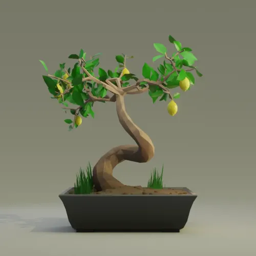 Bonsai #2026