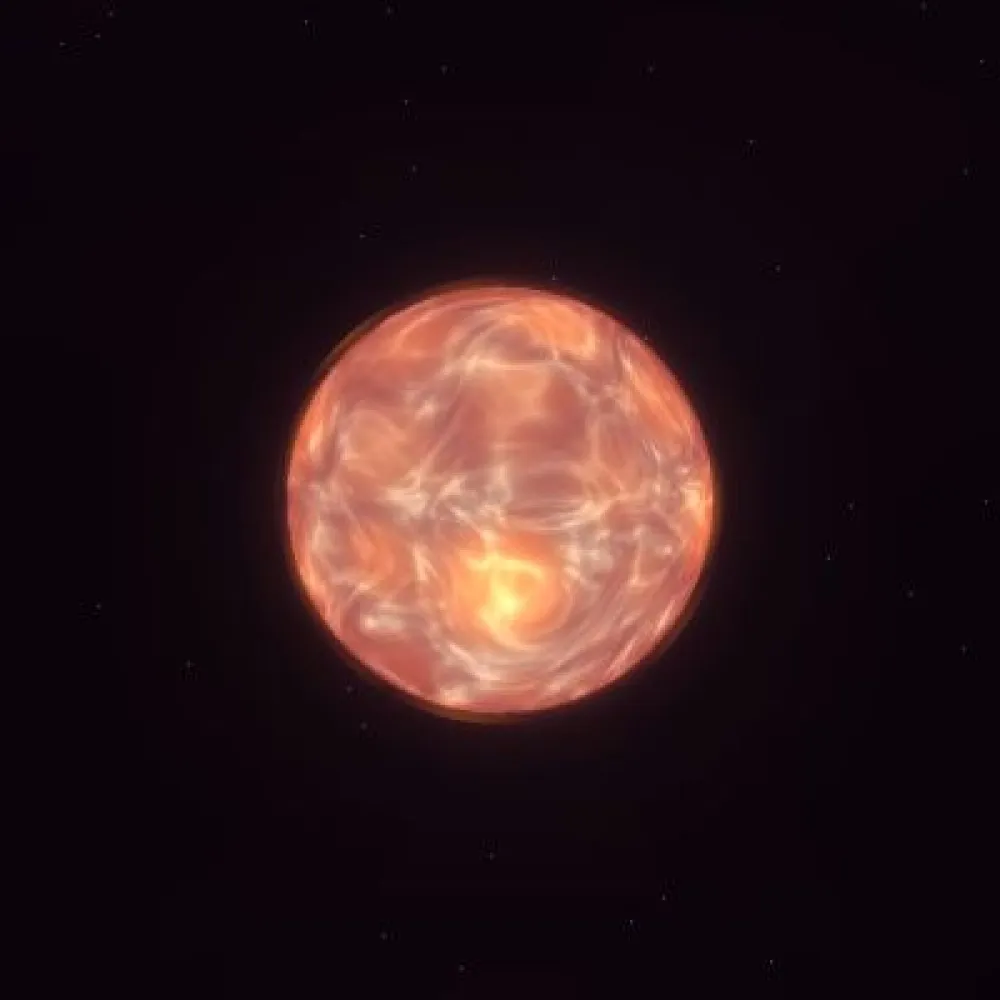 D13P1238 (#93902297)