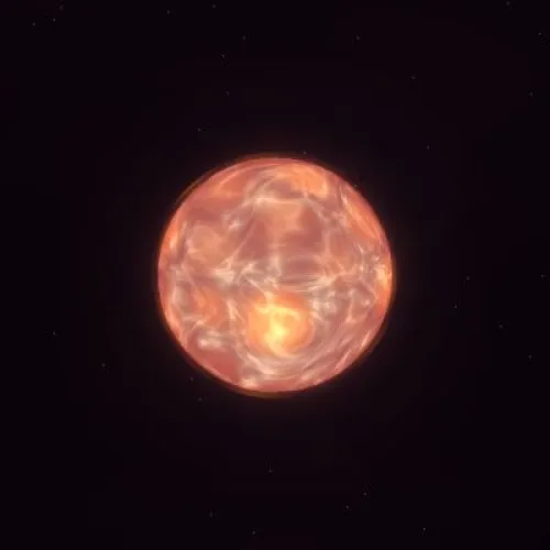 D13P1238 (#93902297)