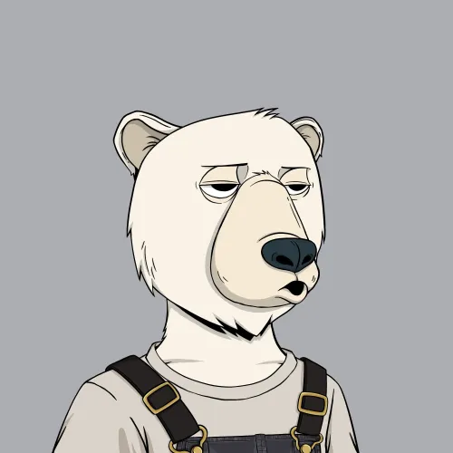 Okay Bear #2337