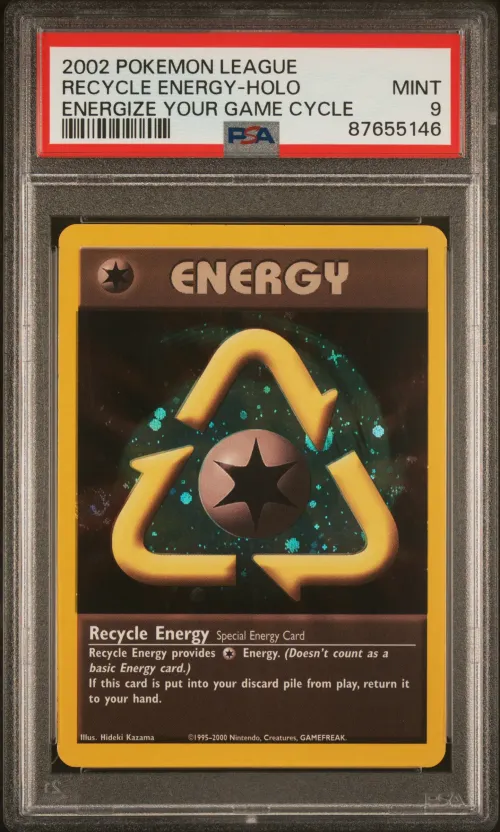 2002 #NA Recycle Energy-Holo PSA