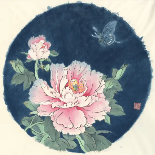 Paeonia × suffruticosa牡丹 #1004172
