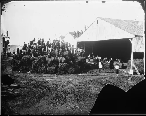 Headquarters. Haypile of the Department. Army of the Potomac, Va.  #845