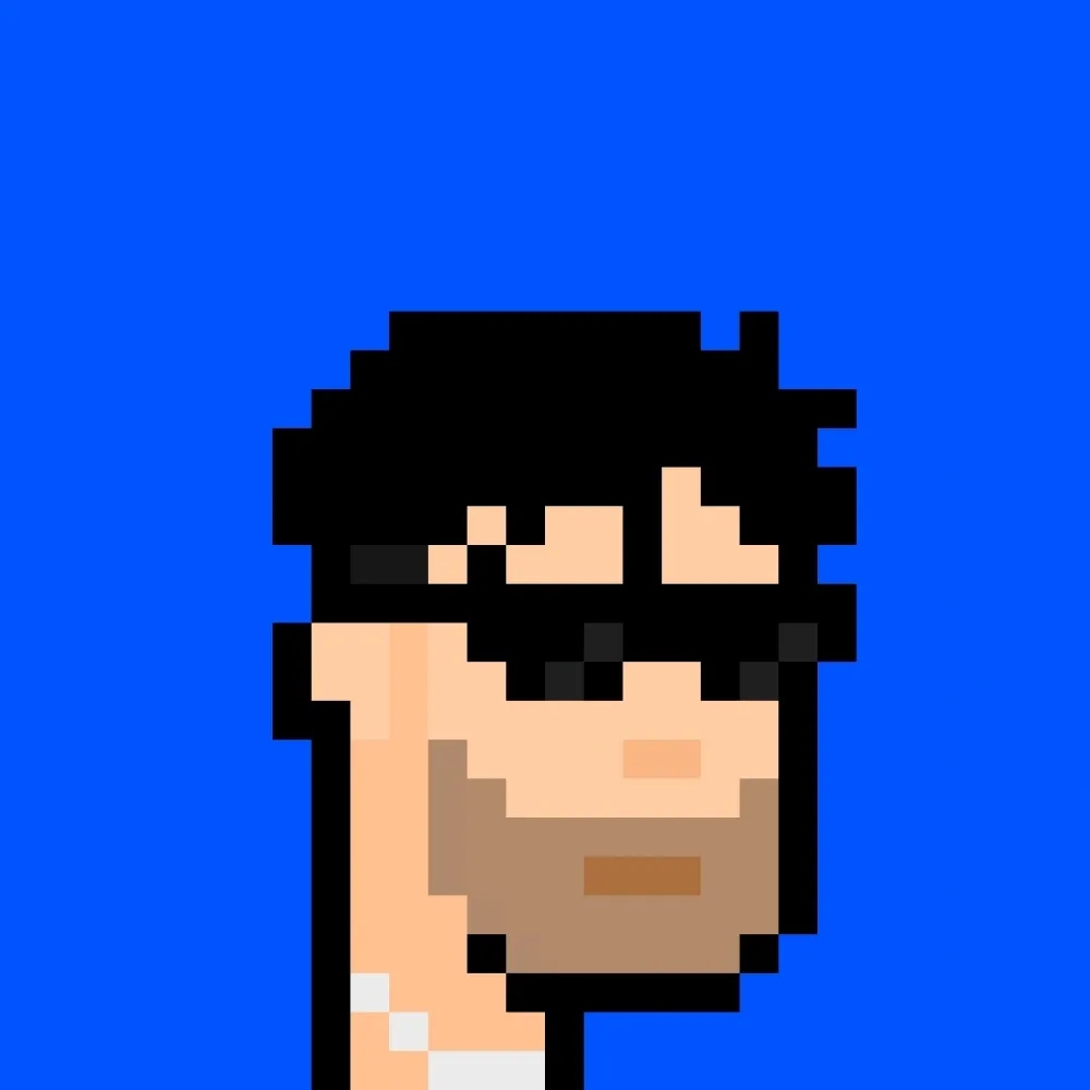 888xPunks #444