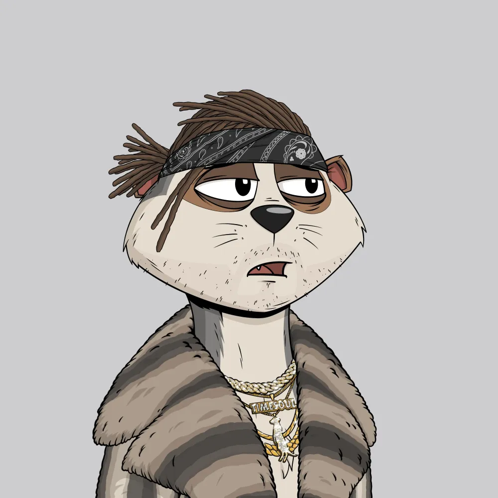 Worried Meerkat #50