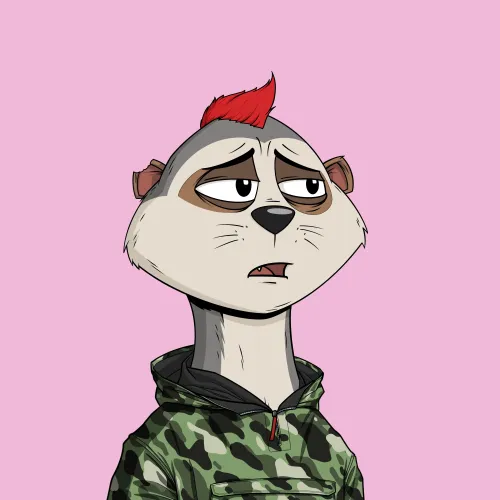 Worried Meerkat #748