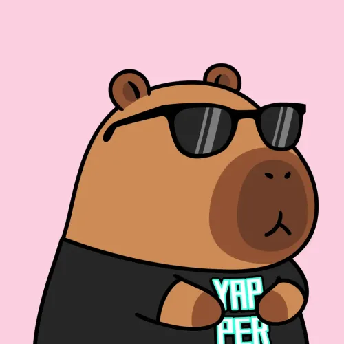 Yapybara #1196