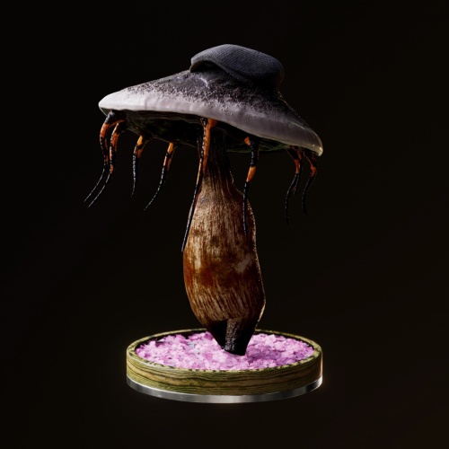Fungi #651