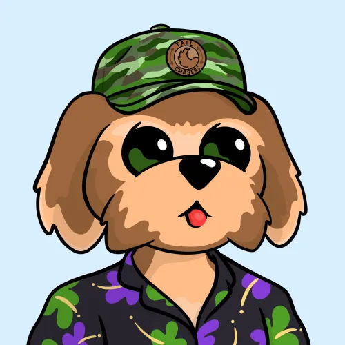 BoDoggos #1141