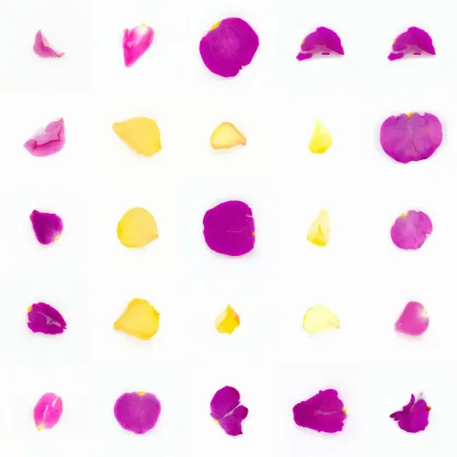 Infinite Petals 5x5#2508
