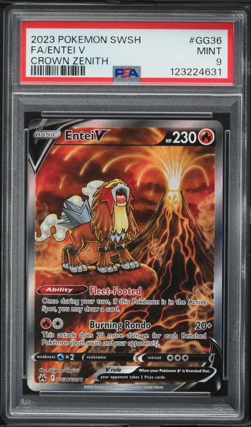 2023 #GG36 Full Art/Entei V PSA 