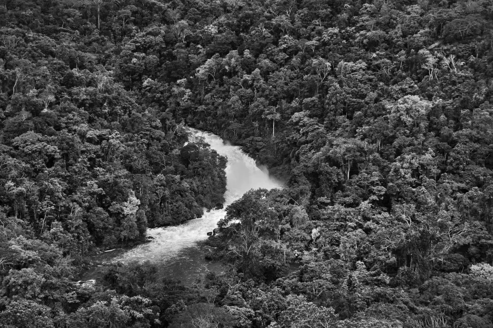 Amazonia - Sebastiao Salgado #4923