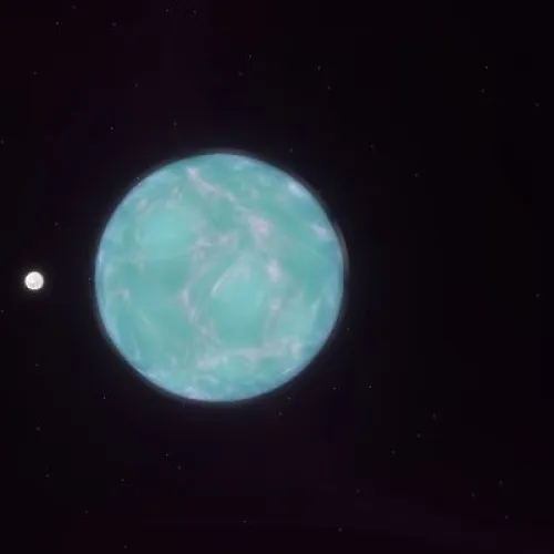 D13P1281 (#93903695)