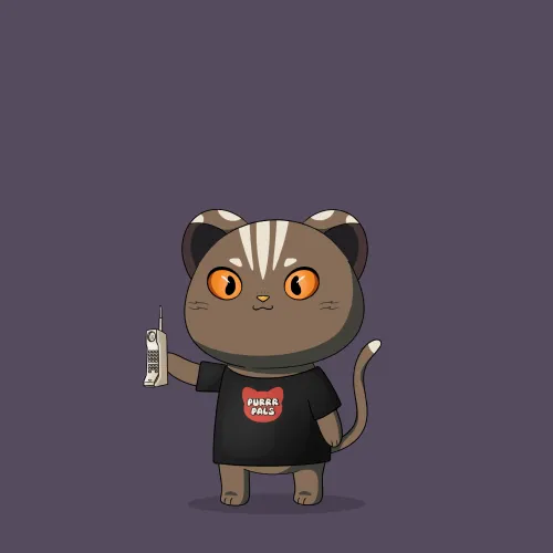 Purrr Pal #3893