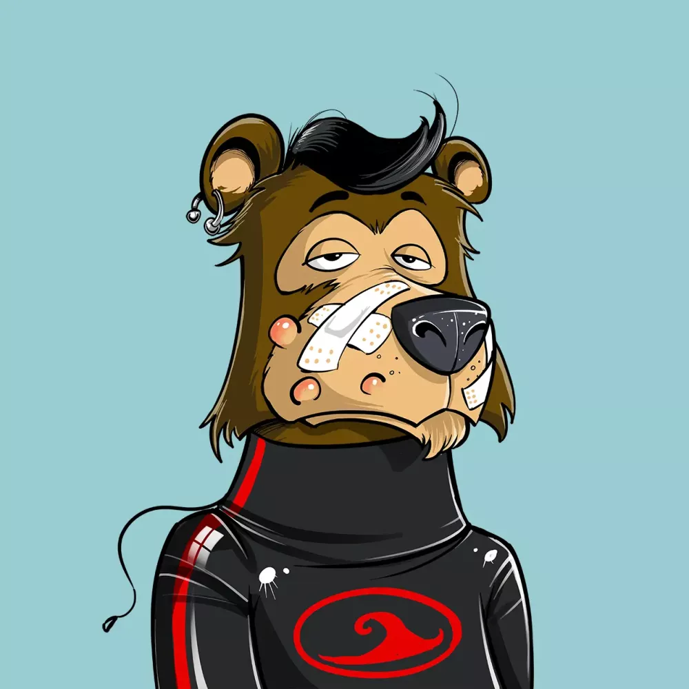 BearsOnTheBlock #4