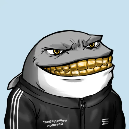 Whale 2987