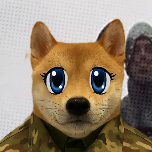 WuFy #257