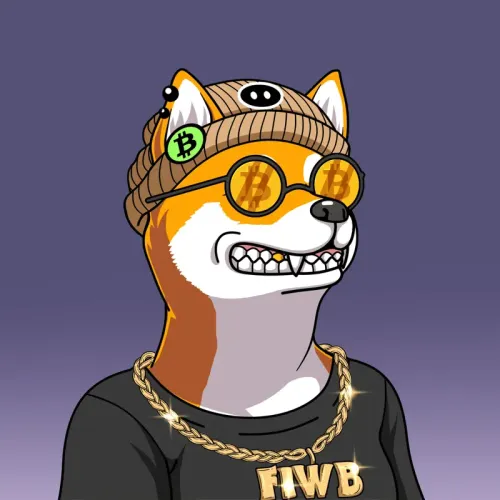 SOLDOGE #19