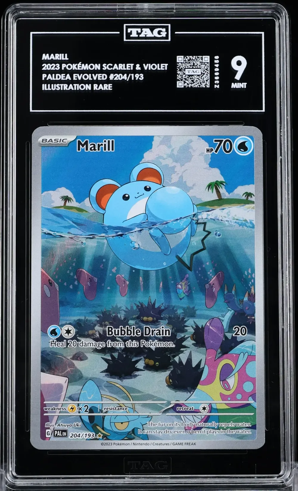 2023 #204 Marill TAG 9 POKEMON P