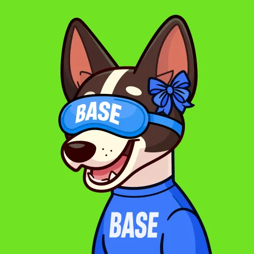 Basenji #980