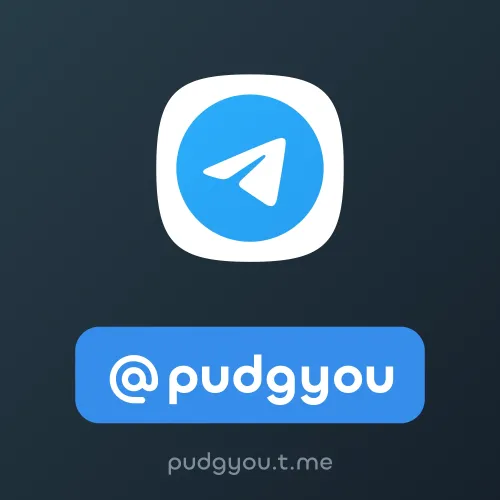 @pudgyou