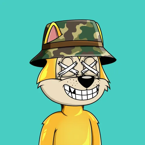Canidae #6563
