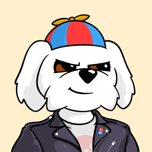 BoDoggos #582