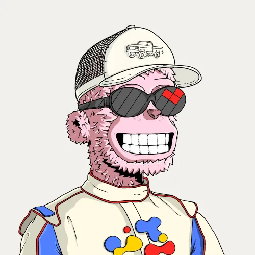 y00t #8577
