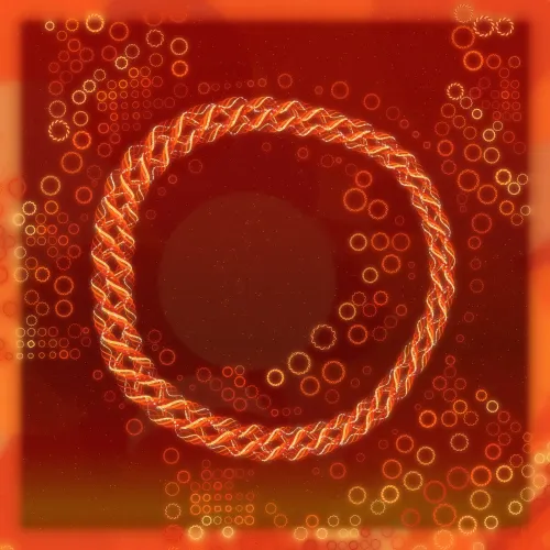 Friendship Bracelets ＃2111