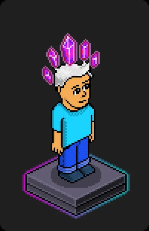 Habbo Crafted Avatar #1037