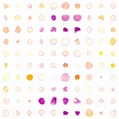 Infinite Petals 10x10#82