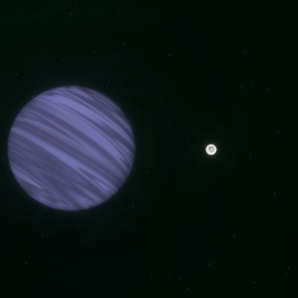 D05P0488 (#93875003)