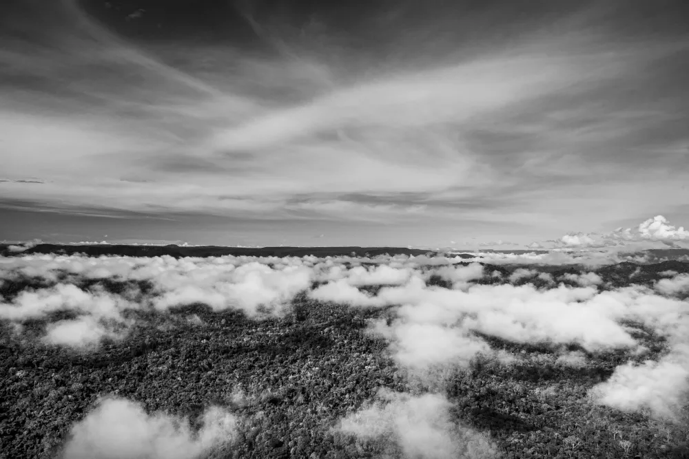 Amazonia - Sebastiao Salgado #3730