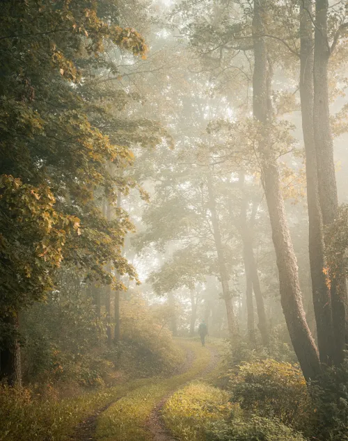 EMBRACE THE PATH: MIKKO LAGERSTEDT ＃101