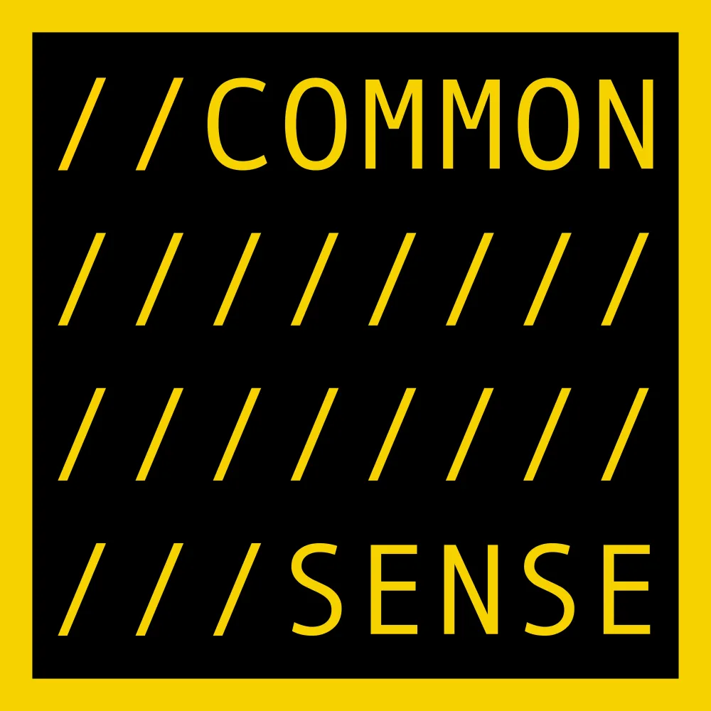 COMMON SENSE #8590