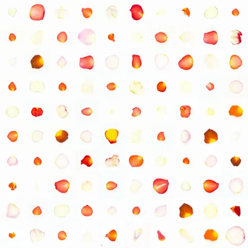 Infinite Petals 10x10#10154