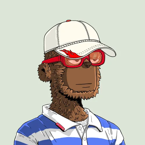 y00t #6956