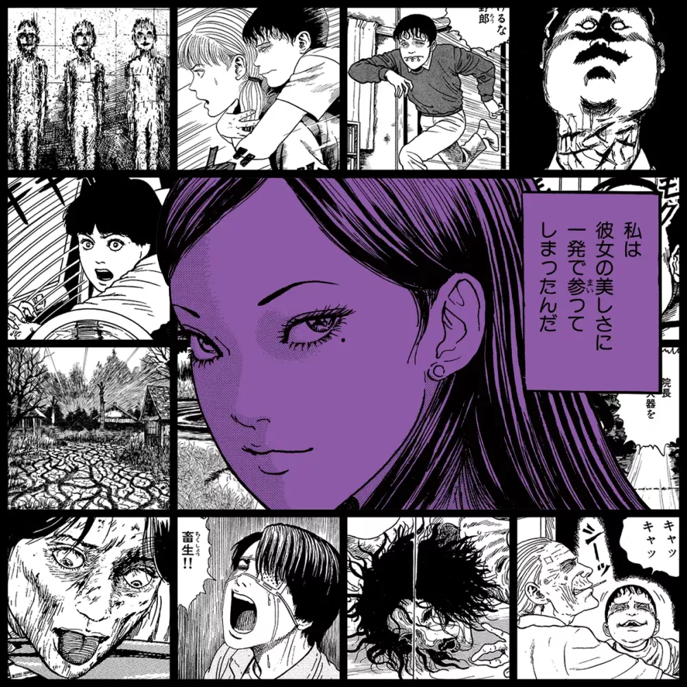 TOMIE by Junji Ito #2095
